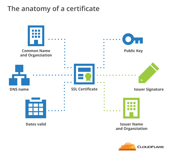 Anatomy of a certificate
